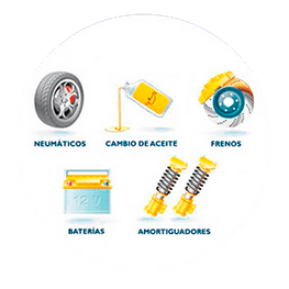 Cauner servicios